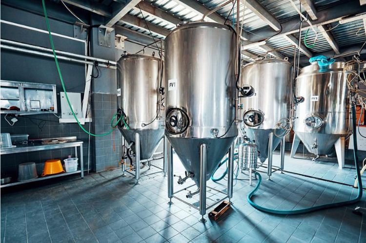 Industrial Fermenter
